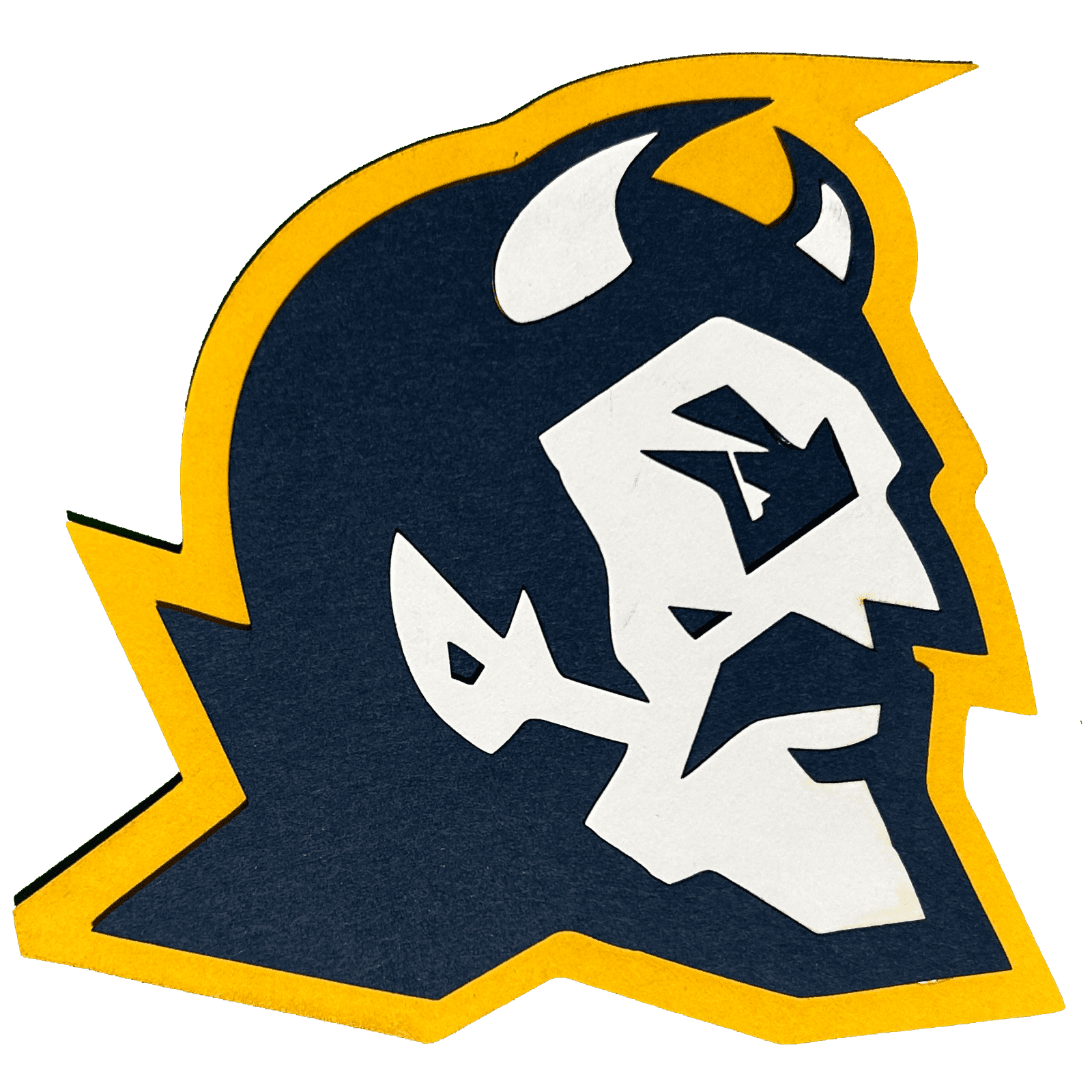 Mt Lebanon School District