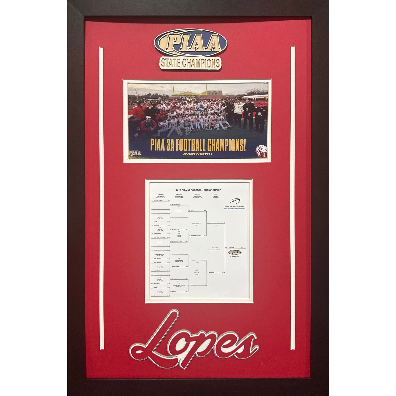 Avonworth Antelopes Custom Frame 8x10 Photo 2025 Football PIAA STATE CHAMPIONS Bracket Team Picture_ 1