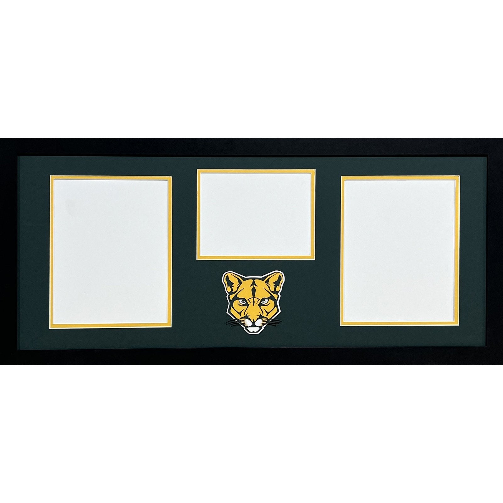 Blackhawk Cougars Custom School 3 Photo Frame 2-8x10s 1-6x8_ 1