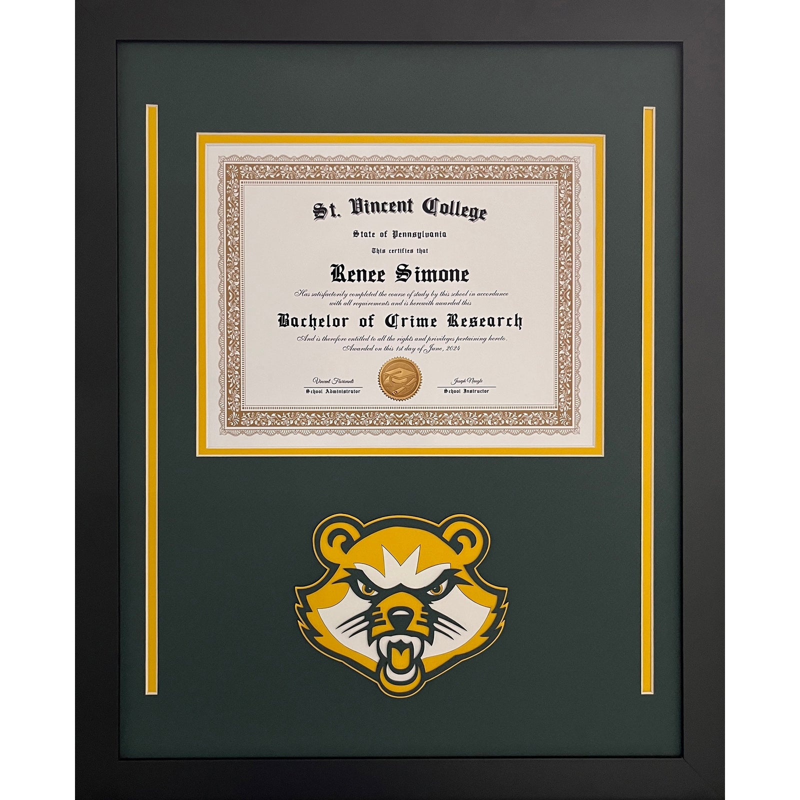 St Vincent Custom School Photo Frame Diploma Graduation Gift_ 1