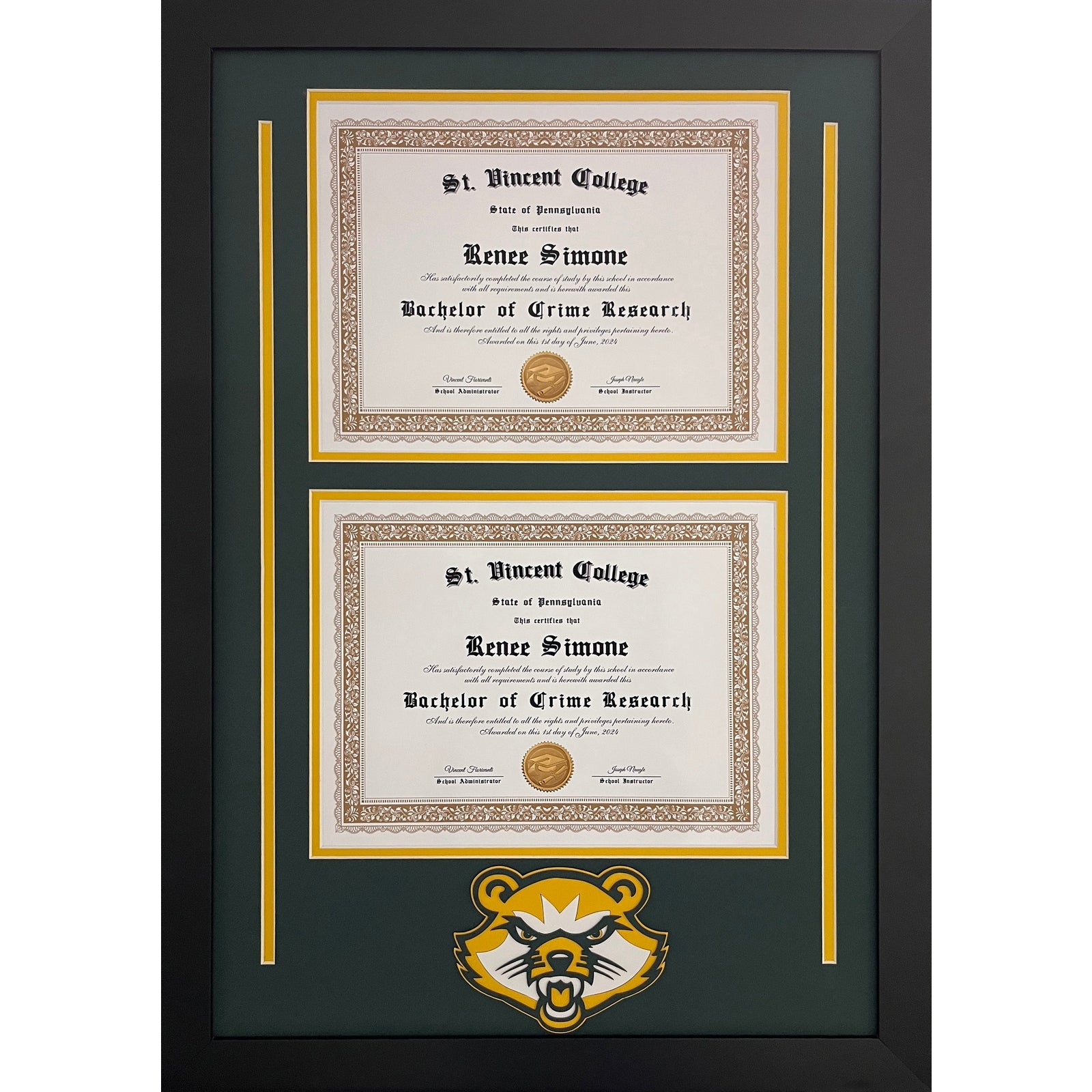 St Vincent Custom School Photo Frame Double Diploma Graduation Gift_ 1