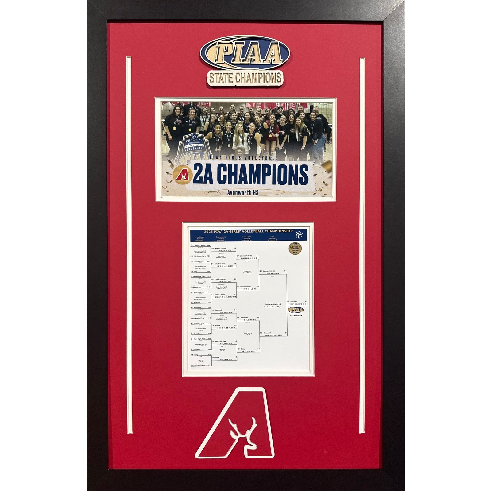 Avonworth Antelopes Custom Frame 8x10 Photo 2025 2A Girls Volleyball PIAA STATE CHAMPIONS Bracket Team Picture_ 1