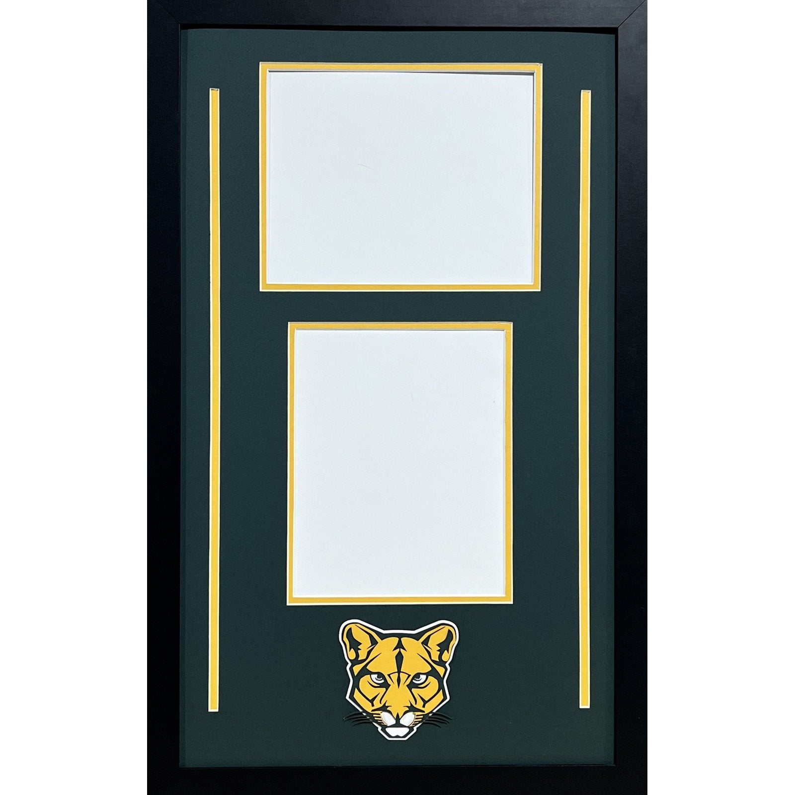 Blackhawk Cougars Custom School Frame 2 8x10 Photos - 1 Portrait 1 Landscape_ 1