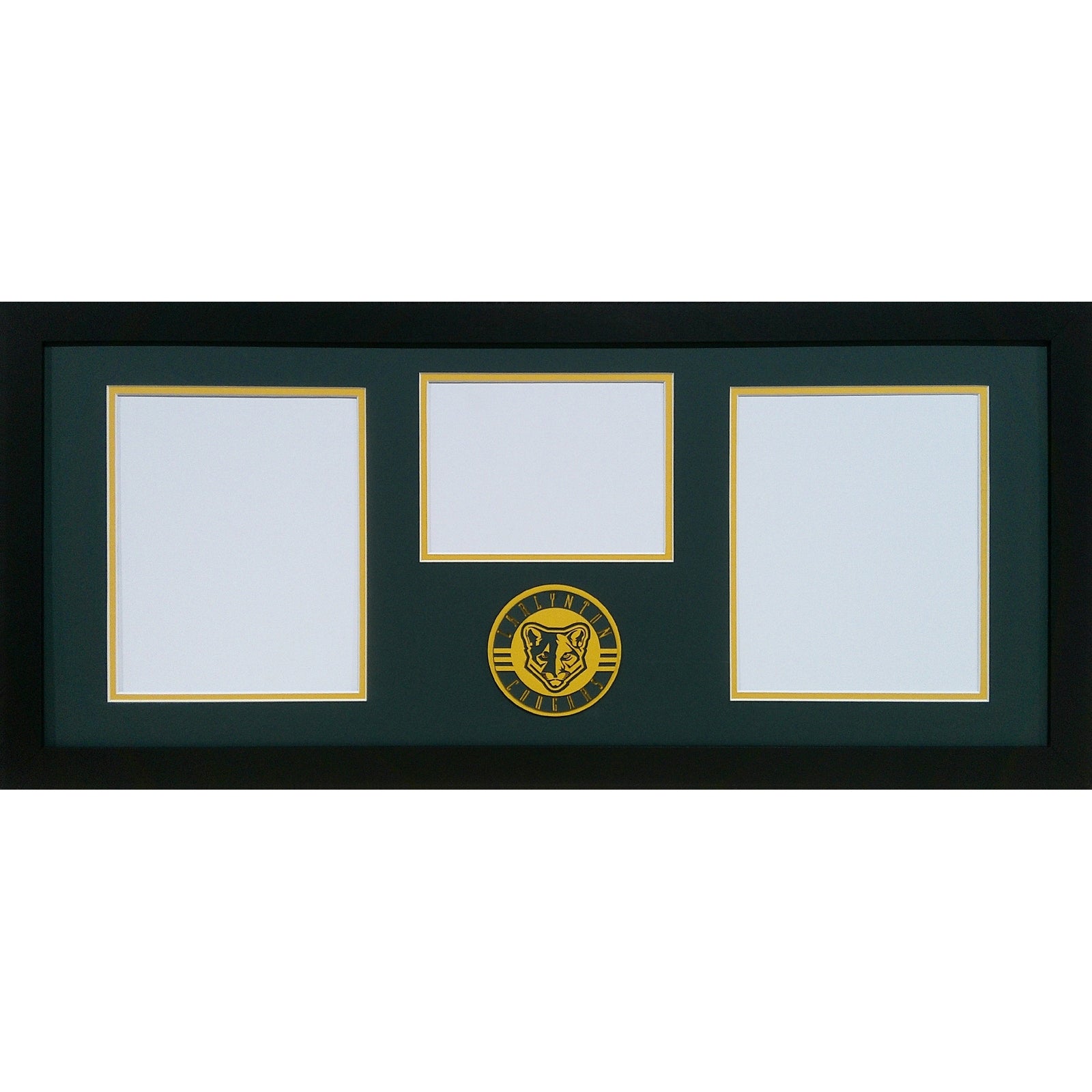 Carlynton Cougars Custom School 3 Photo Frame 2-8x10s 1-6x8_ 1